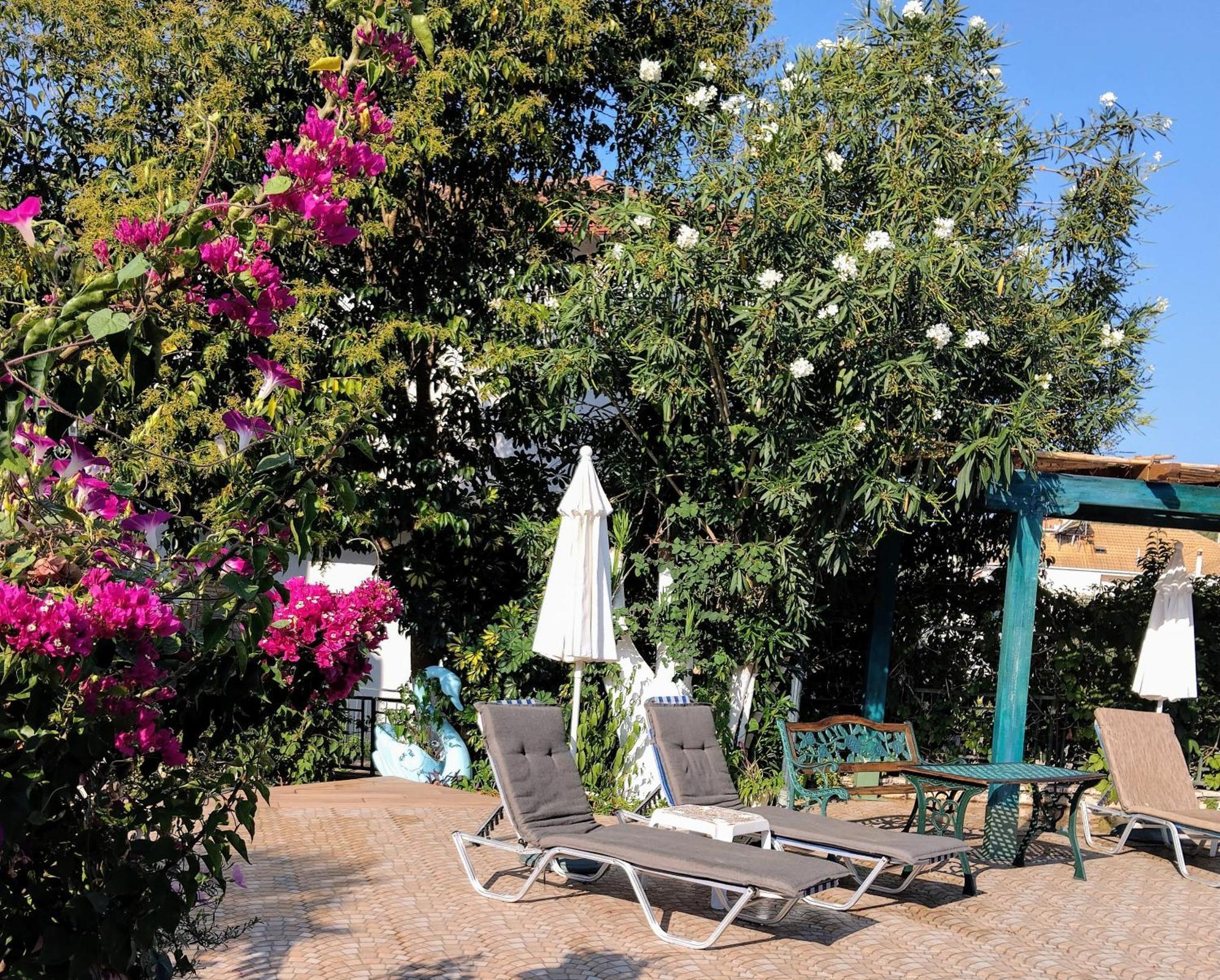 Harmony Resort Párga Kültér fotó