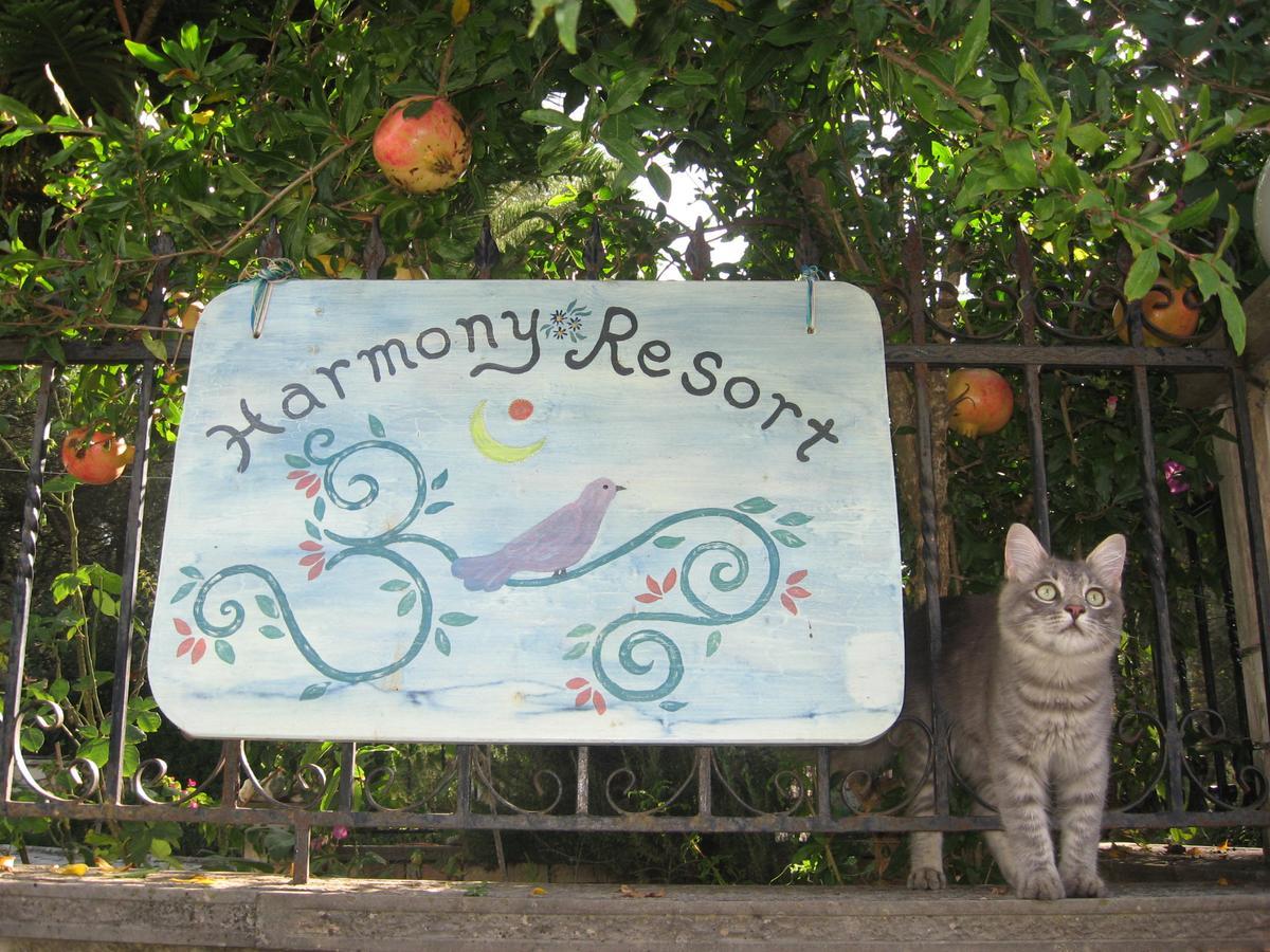 Harmony Resort Párga Kültér fotó